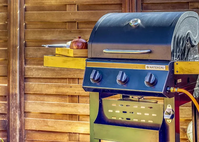 Hébergement de vacances Casa Vista Teide Con Jardin, Barbacoa Y Fuente Zen Icod De Los Vinos